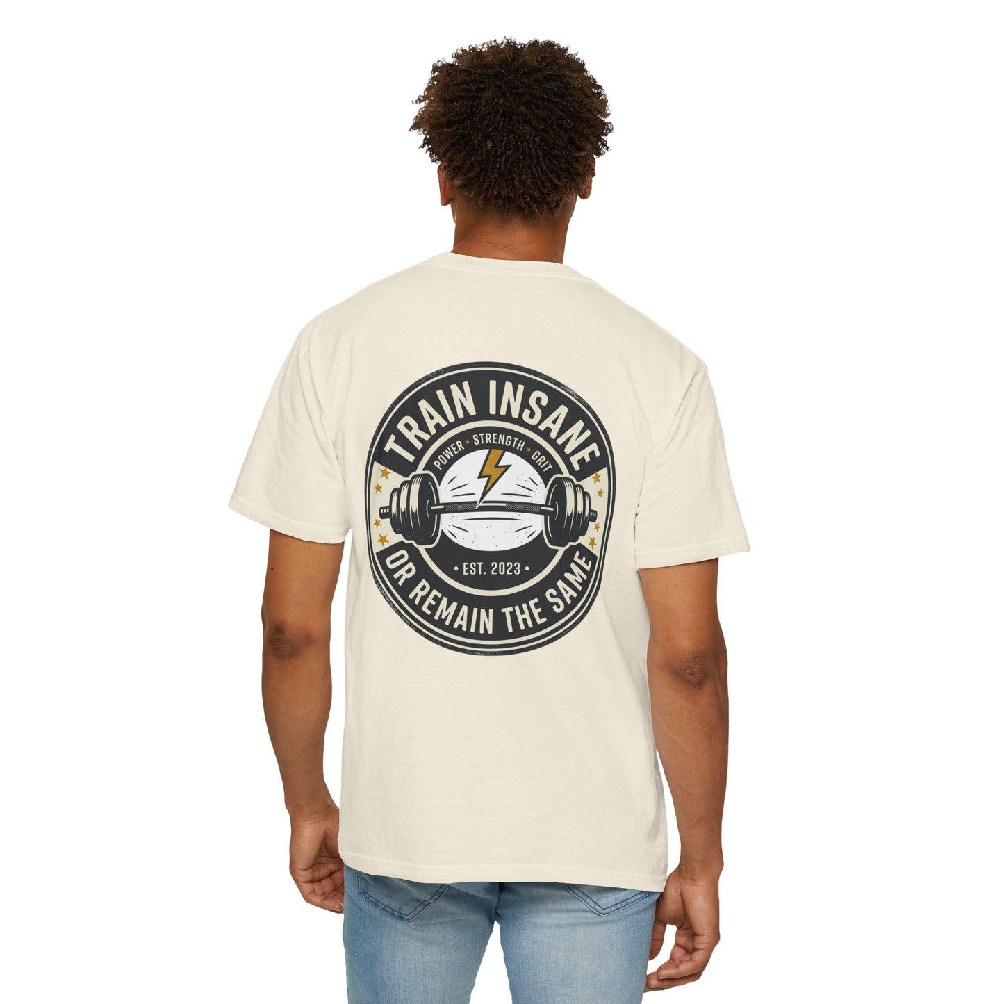 Train Insane Gym T-Shirt – Motivational Workout Shirt | Heavyweight Fitness Tee, Bodybuilding Graphic Tee