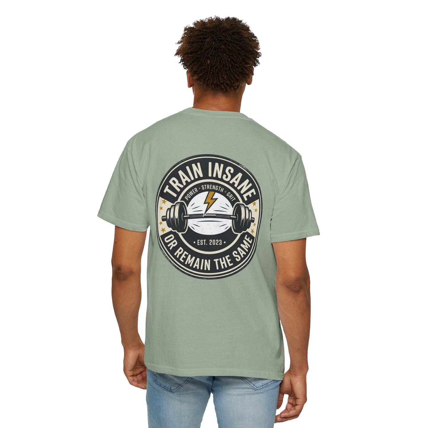 Train Insane Gym T-Shirt – Motivational Workout Shirt | Heavyweight Fitness Tee, Bodybuilding Graphic Tee