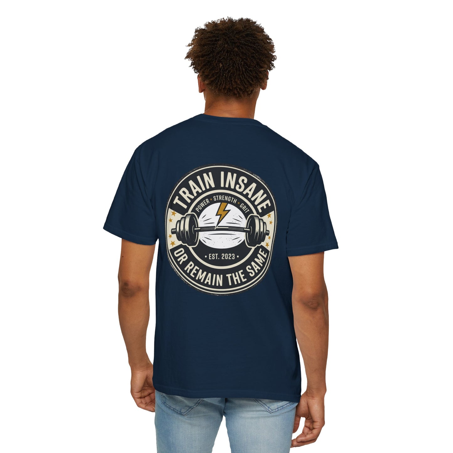 Train Insane Gym T-Shirt – Motivational Workout Shirt | Heavyweight Fitness Tee, Bodybuilding Graphic Tee