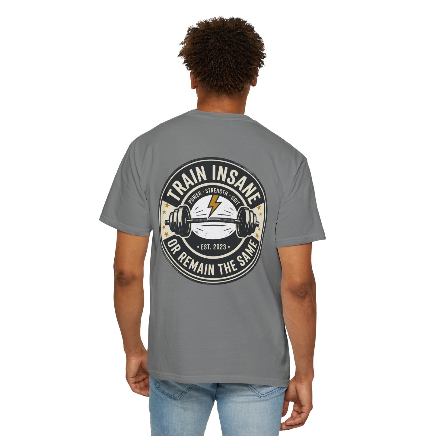 Train Insane Gym T-Shirt – Motivational Workout Shirt | Heavyweight Fitness Tee, Bodybuilding Graphic Tee
