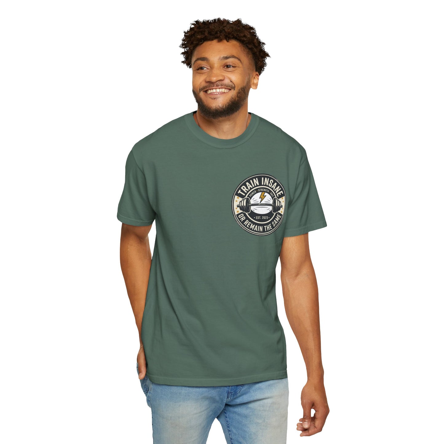 Train Insane Gym T-Shirt – Motivational Workout Shirt | Heavyweight Fitness Tee, Bodybuilding Graphic Tee