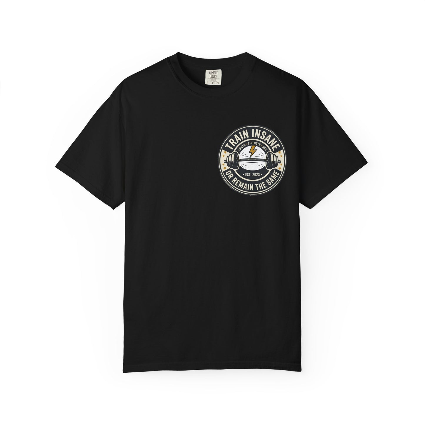Train Insane Gym T-Shirt – Motivational Workout Shirt | Heavyweight Fitness Tee, Bodybuilding Graphic Tee
