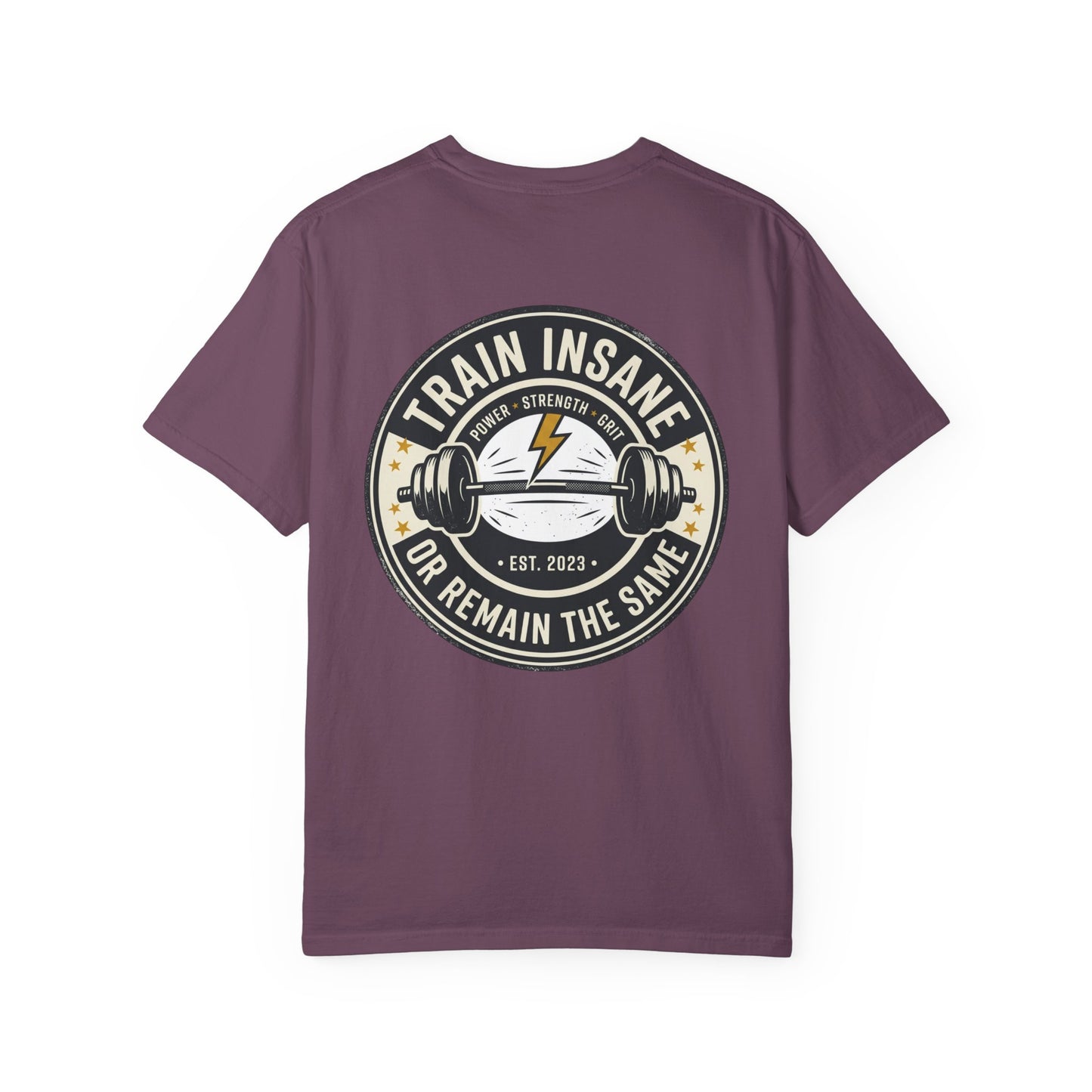 Train Insane Gym T-Shirt – Motivational Workout Shirt | Heavyweight Fitness Tee, Bodybuilding Graphic Tee