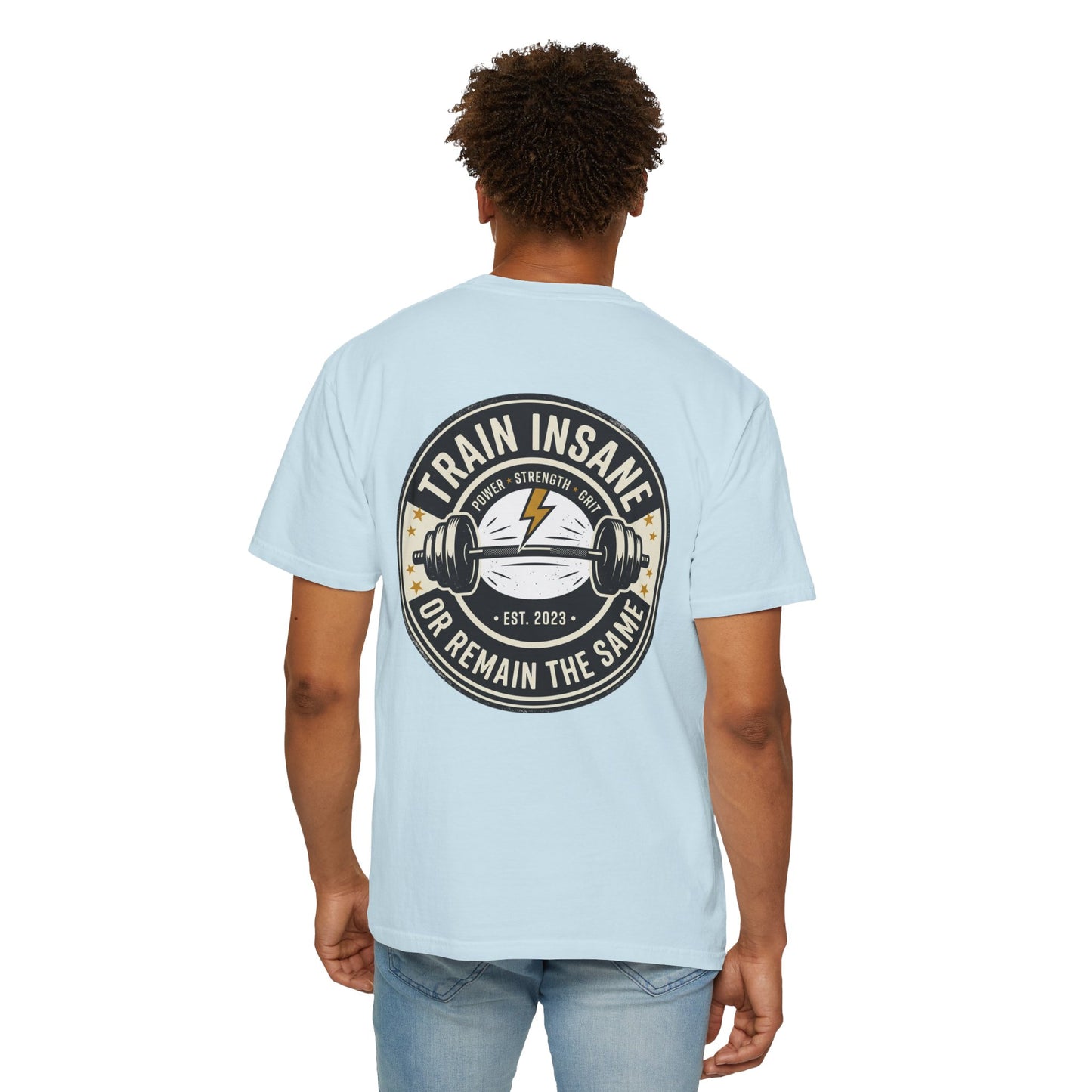 Train Insane Gym T-Shirt – Motivational Workout Shirt | Heavyweight Fitness Tee, Bodybuilding Graphic Tee