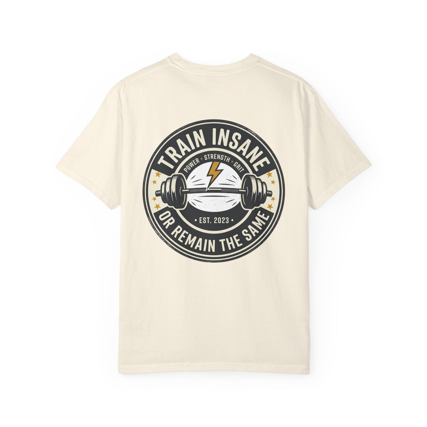 Train Insane Gym T-Shirt – Motivational Workout Shirt | Heavyweight Fitness Tee, Bodybuilding Graphic Tee