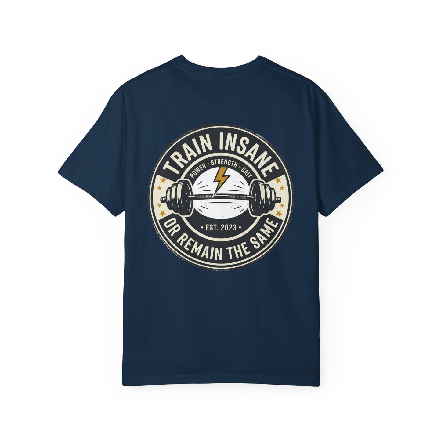 Train Insane Gym T-Shirt – Motivational Workout Shirt | Heavyweight Fitness Tee, Bodybuilding Graphic Tee