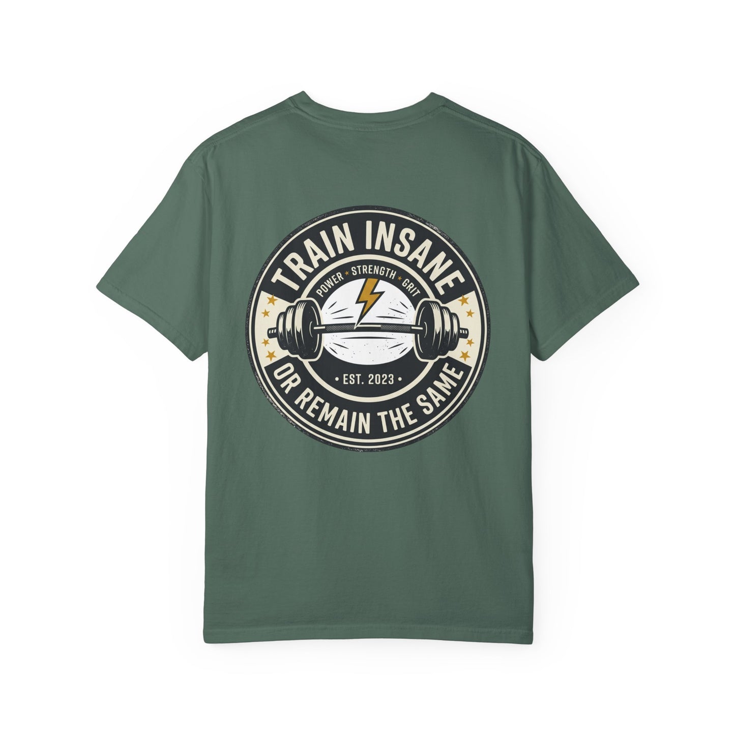 Train Insane Gym T-Shirt – Motivational Workout Shirt | Heavyweight Fitness Tee, Bodybuilding Graphic Tee