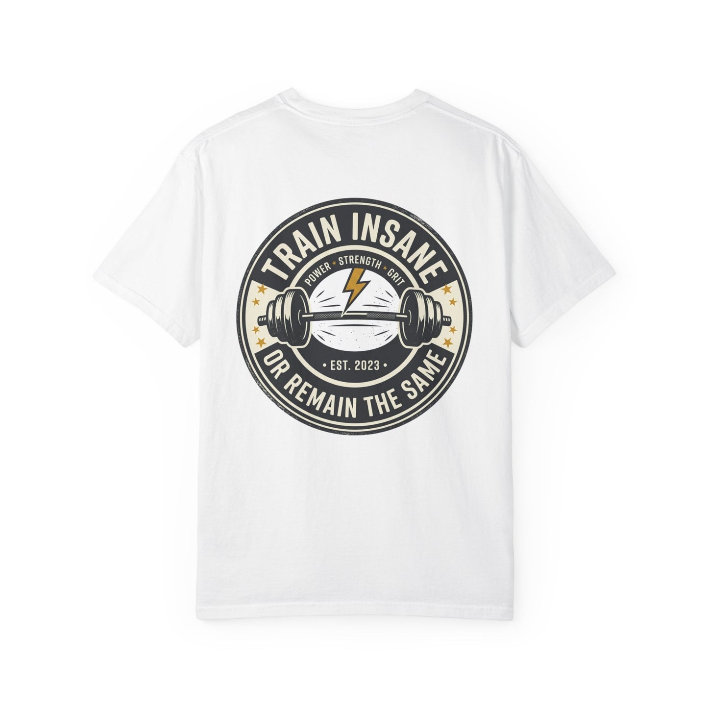 Train Insane Gym T-Shirt – Motivational Workout Shirt | Heavyweight Fitness Tee, Bodybuilding Graphic Tee