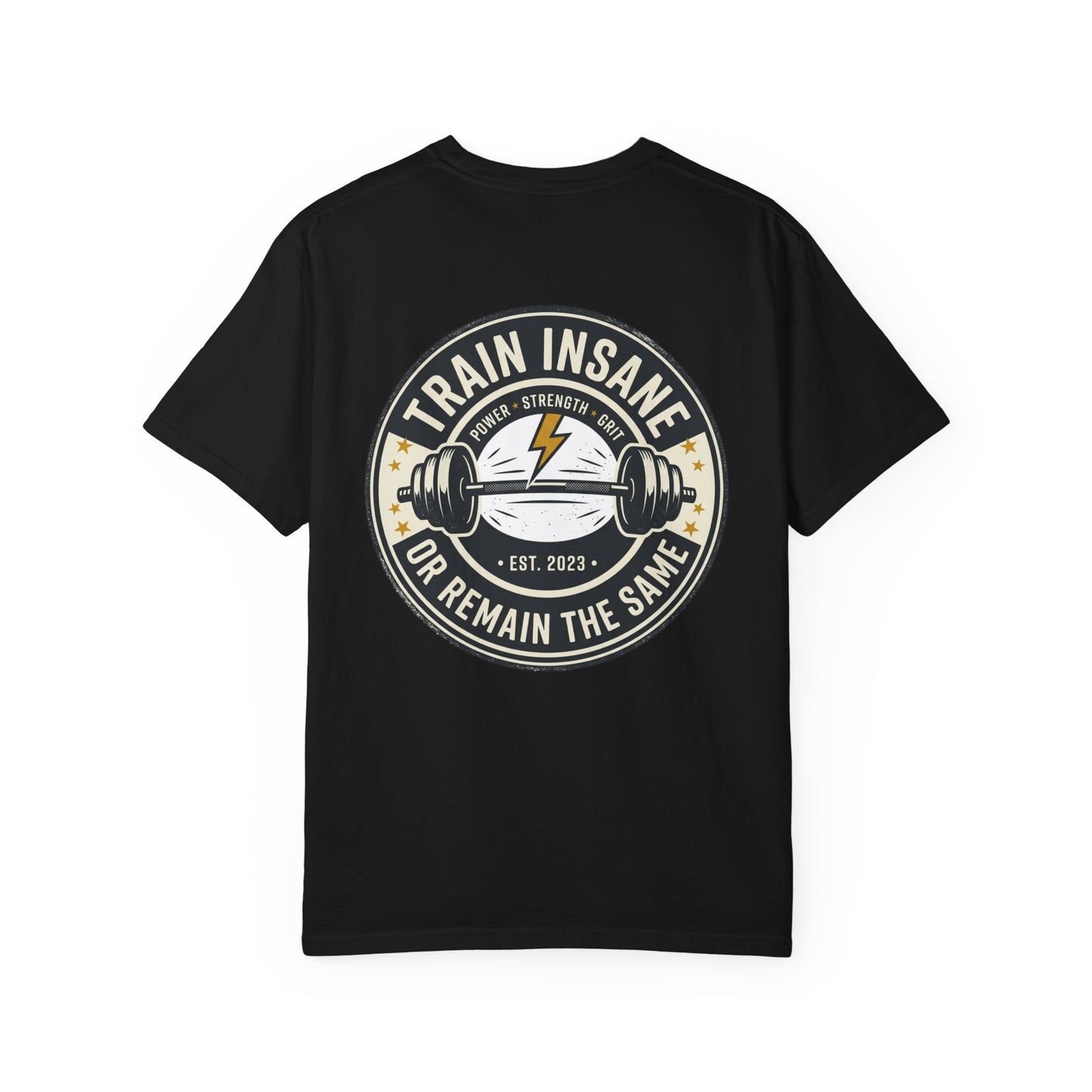 Train Insane Gym T-Shirt – Motivational Workout Shirt | Heavyweight Fitness Tee, Bodybuilding Graphic Tee
