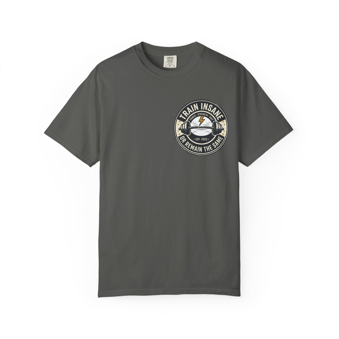 Train Insane Gym T-Shirt – Motivational Workout Shirt | Heavyweight Fitness Tee, Bodybuilding Graphic Tee