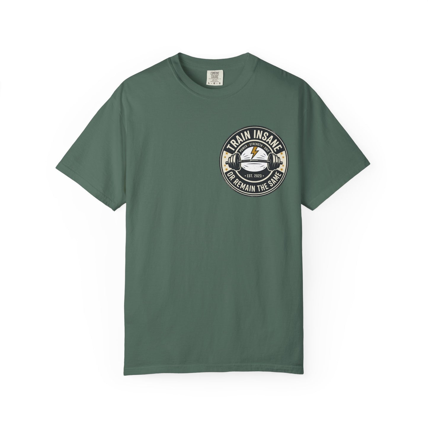 Train Insane Gym T-Shirt – Motivational Workout Shirt | Heavyweight Fitness Tee, Bodybuilding Graphic Tee