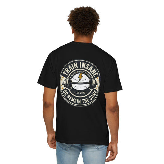 Train Insane Gym T-Shirt – Motivational Workout Shirt | Heavyweight Fitness Tee, Bodybuilding Graphic Tee