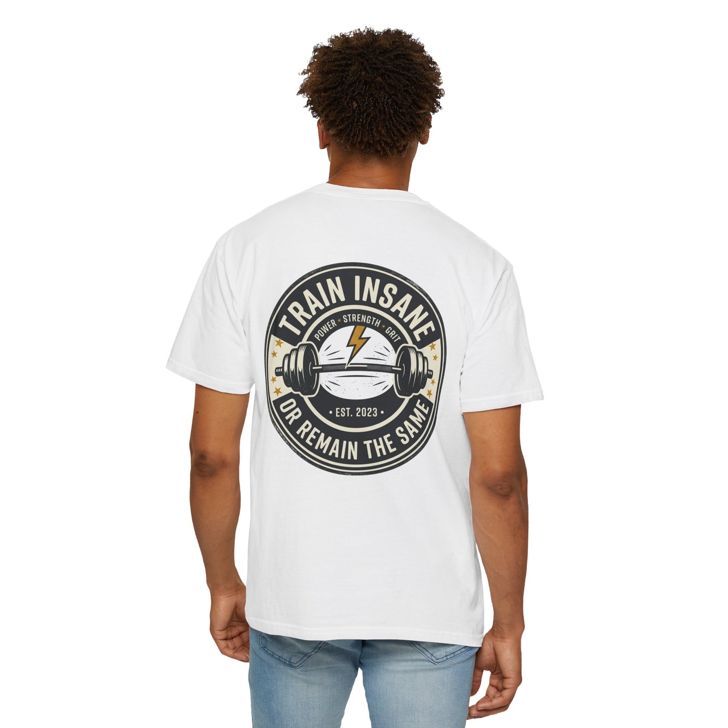 Train Insane Gym T-Shirt – Motivational Workout Shirt | Heavyweight Fitness Tee, Bodybuilding Graphic Tee