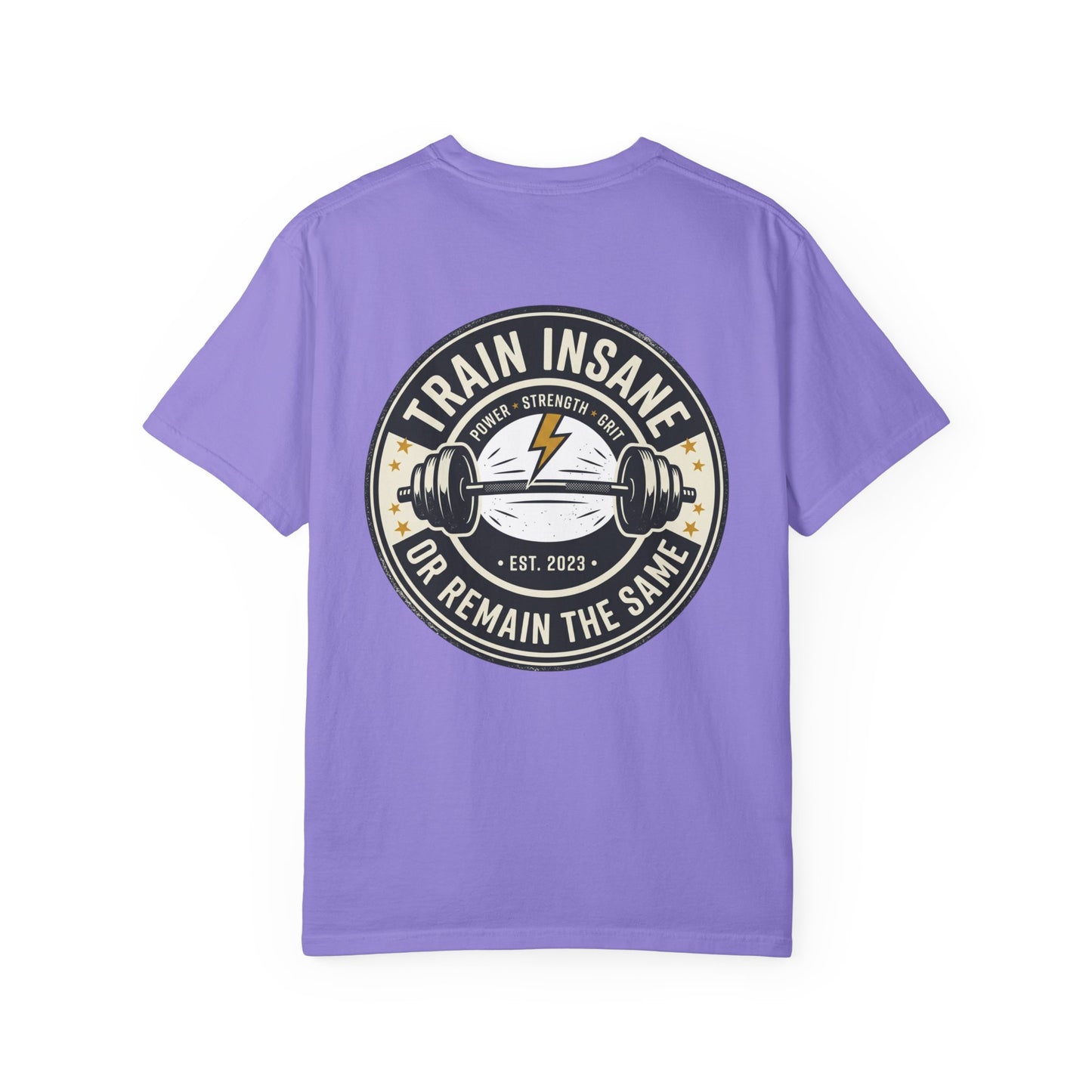 Train Insane Gym T-Shirt – Motivational Workout Shirt | Heavyweight Fitness Tee, Bodybuilding Graphic Tee