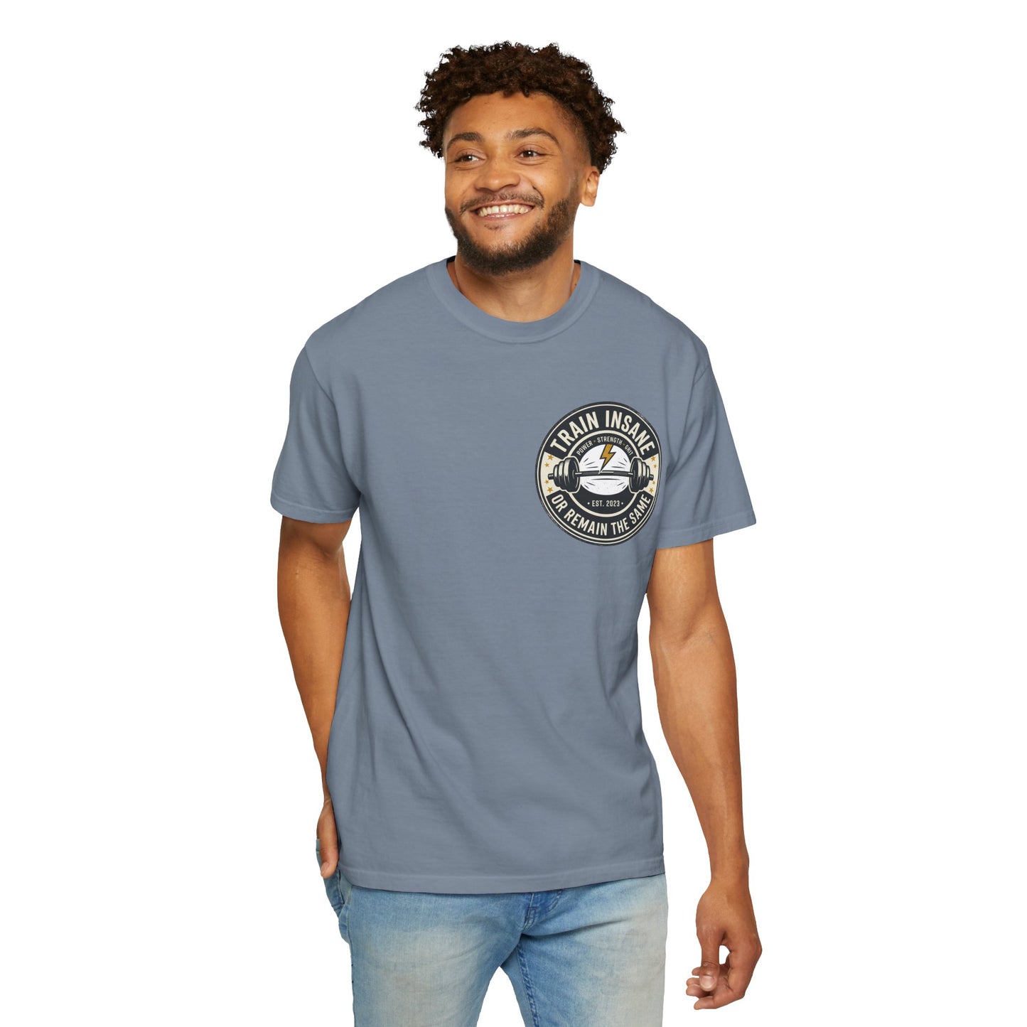 Train Insane Gym T-Shirt – Motivational Workout Shirt | Heavyweight Fitness Tee, Bodybuilding Graphic Tee