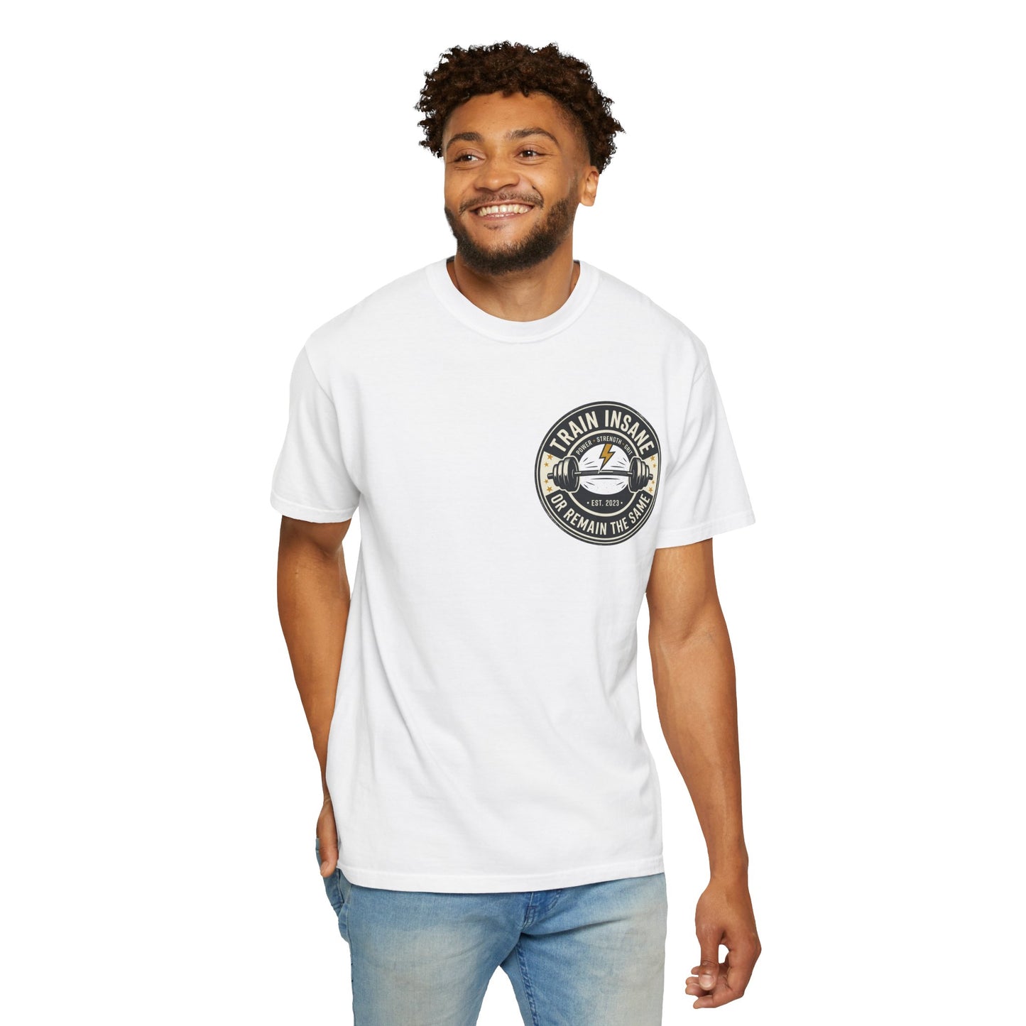Train Insane Gym T-Shirt – Motivational Workout Shirt | Heavyweight Fitness Tee, Bodybuilding Graphic Tee