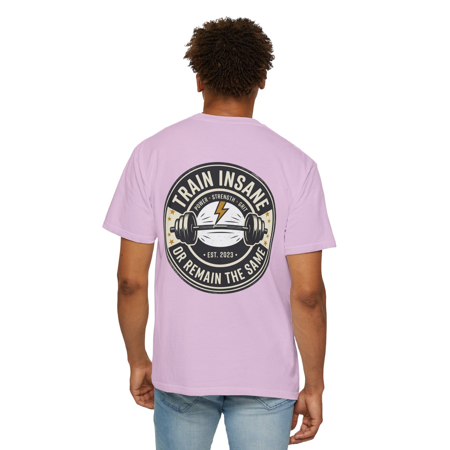 Train Insane Gym T-Shirt – Motivational Workout Shirt | Heavyweight Fitness Tee, Bodybuilding Graphic Tee