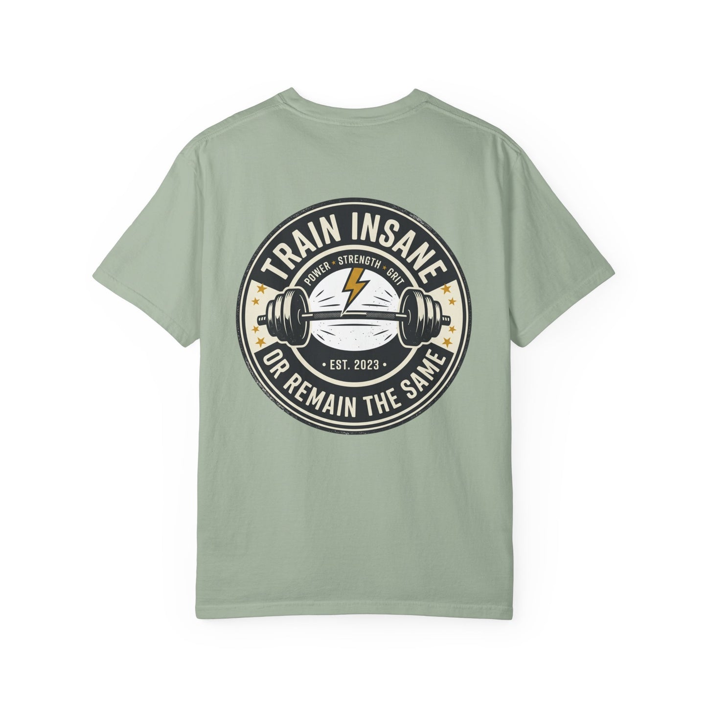 Train Insane Gym T-Shirt – Motivational Workout Shirt | Heavyweight Fitness Tee, Bodybuilding Graphic Tee