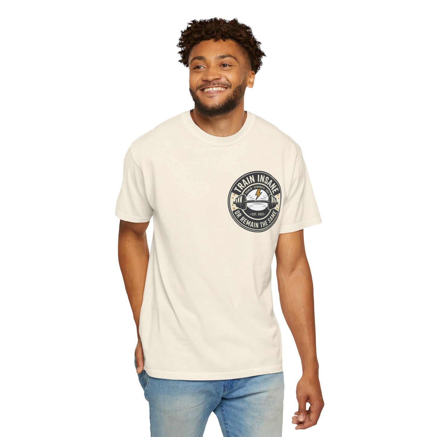 Train Insane Gym T-Shirt – Motivational Workout Shirt | Heavyweight Fitness Tee, Bodybuilding Graphic Tee