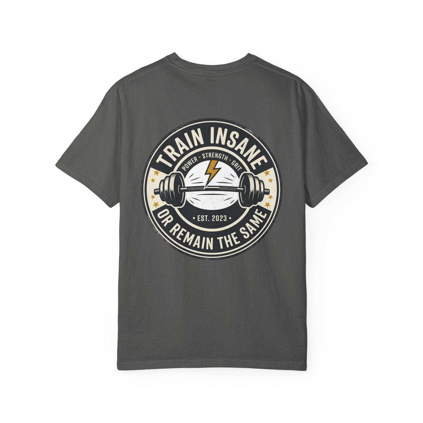 Train Insane Gym T-Shirt – Motivational Workout Shirt | Heavyweight Fitness Tee, Bodybuilding Graphic Tee