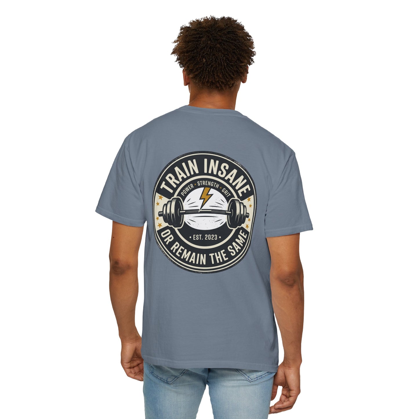 Train Insane Gym T-Shirt – Motivational Workout Shirt | Heavyweight Fitness Tee, Bodybuilding Graphic Tee