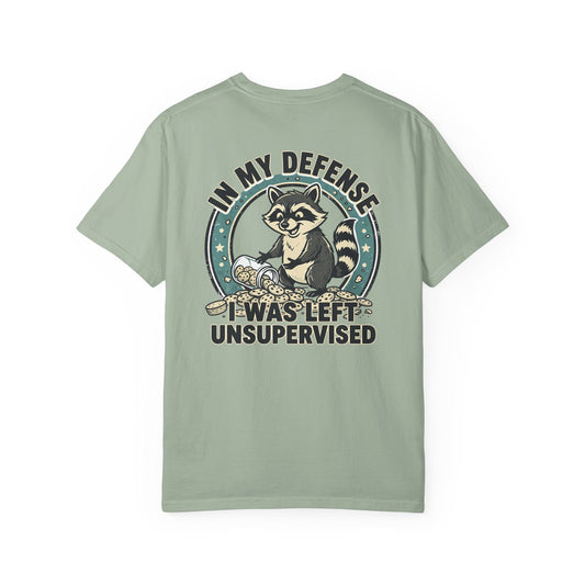 Funny Raccoon T-Shirt – “In My Defense I Was Left Unsupervised” Graphic Tee | Cute Chaos Humor Shirt