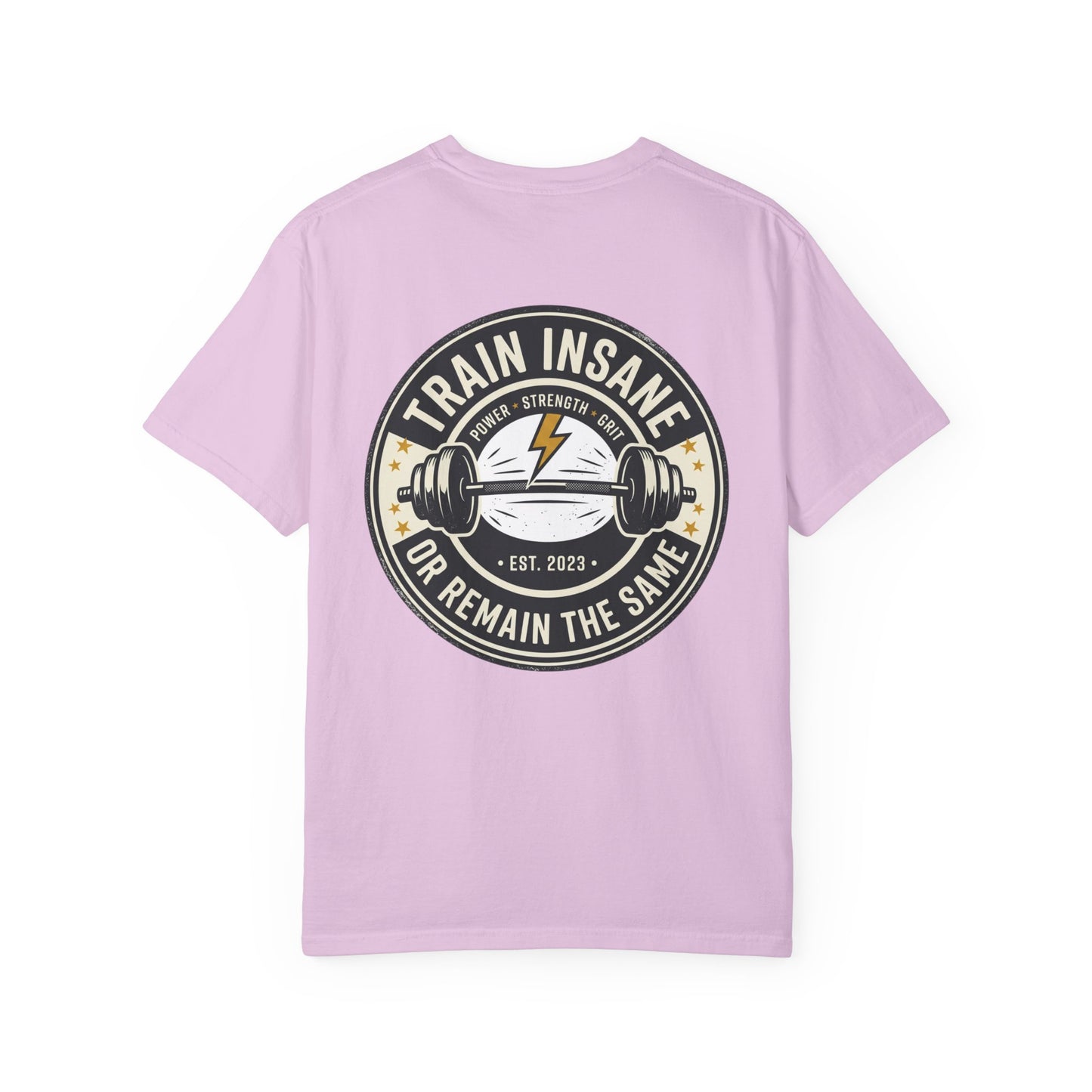Train Insane Gym T-Shirt – Motivational Workout Shirt | Heavyweight Fitness Tee, Bodybuilding Graphic Tee