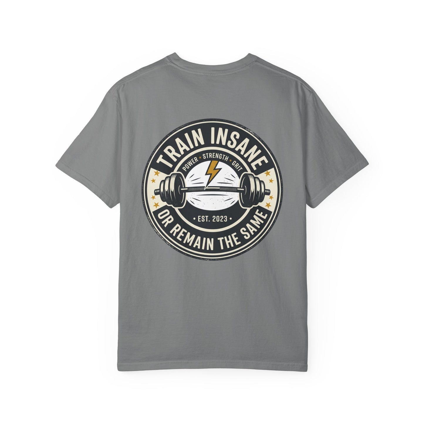 Train Insane Gym T-Shirt – Motivational Workout Shirt | Heavyweight Fitness Tee, Bodybuilding Graphic Tee