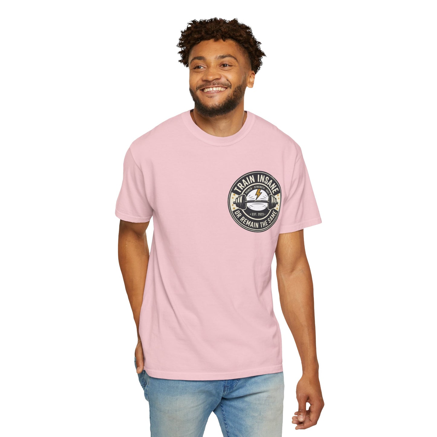 Train Insane Gym T-Shirt – Motivational Workout Shirt | Heavyweight Fitness Tee, Bodybuilding Graphic Tee