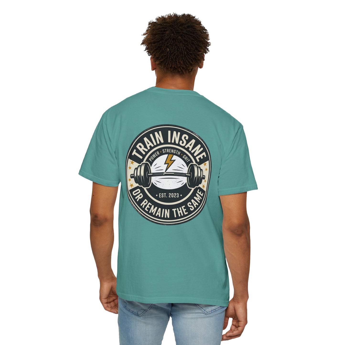 Train Insane Gym T-Shirt – Motivational Workout Shirt | Heavyweight Fitness Tee, Bodybuilding Graphic Tee