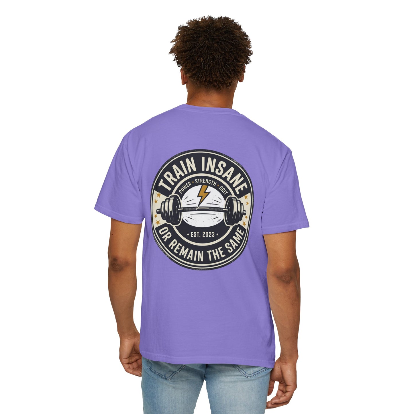 Train Insane Gym T-Shirt – Motivational Workout Shirt | Heavyweight Fitness Tee, Bodybuilding Graphic Tee