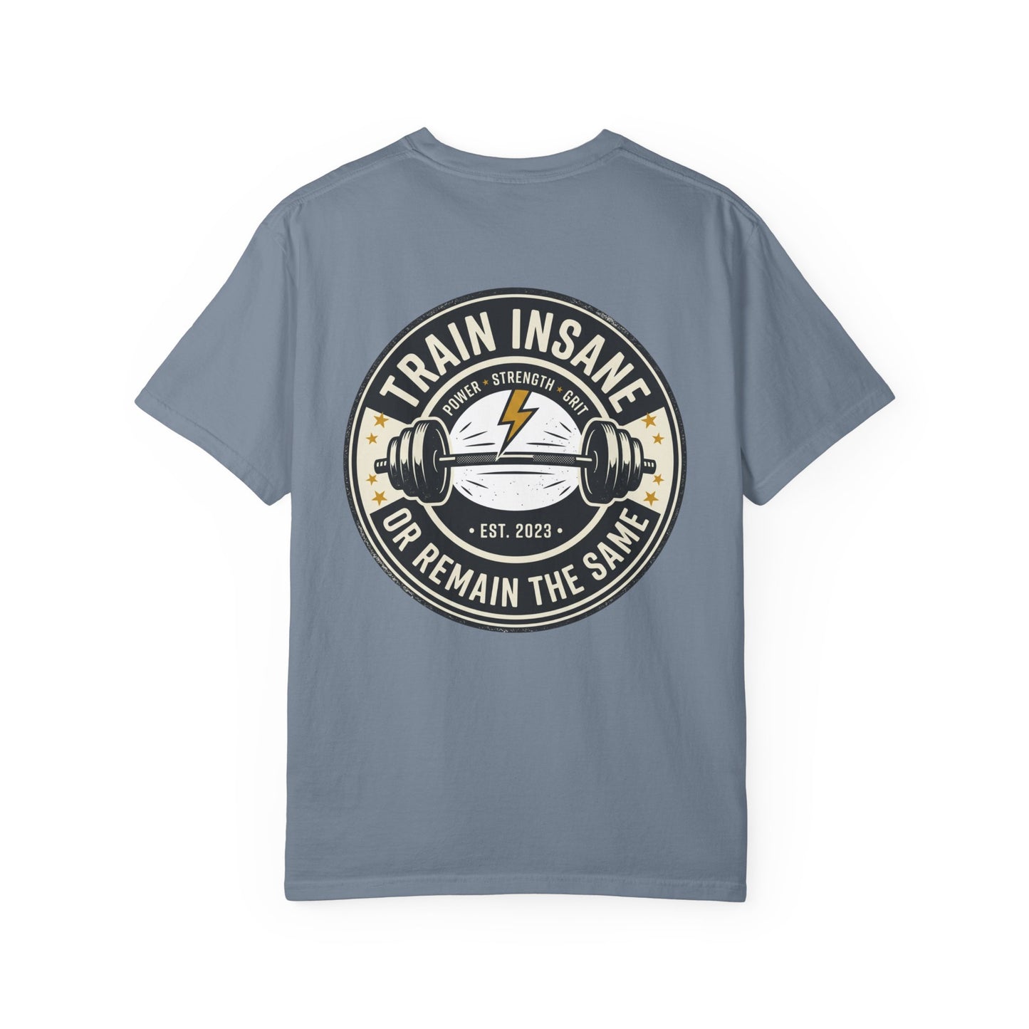 Train Insane Gym T-Shirt – Motivational Workout Shirt | Heavyweight Fitness Tee, Bodybuilding Graphic Tee