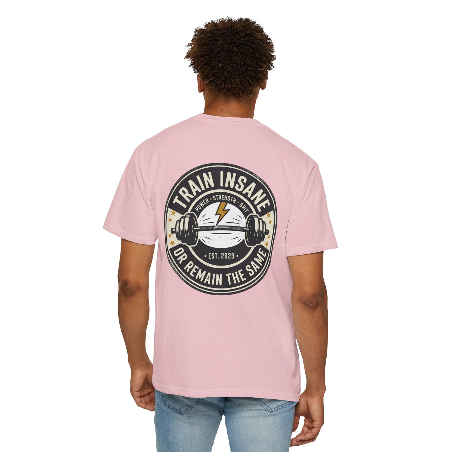 Train Insane Gym T-Shirt – Motivational Workout Shirt | Heavyweight Fitness Tee, Bodybuilding Graphic Tee