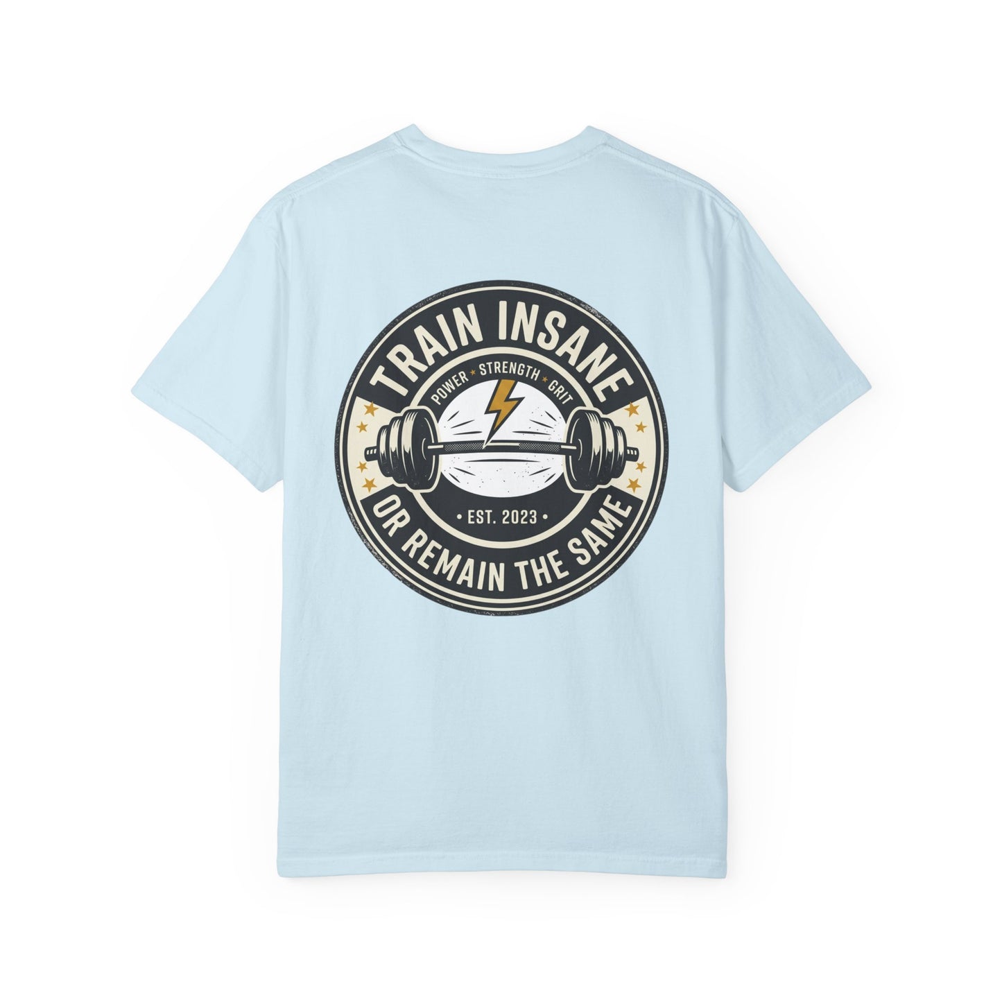 Train Insane Gym T-Shirt – Motivational Workout Shirt | Heavyweight Fitness Tee, Bodybuilding Graphic Tee