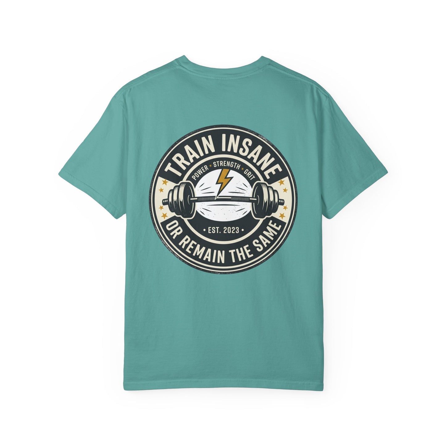 Train Insane Gym T-Shirt – Motivational Workout Shirt | Heavyweight Fitness Tee, Bodybuilding Graphic Tee