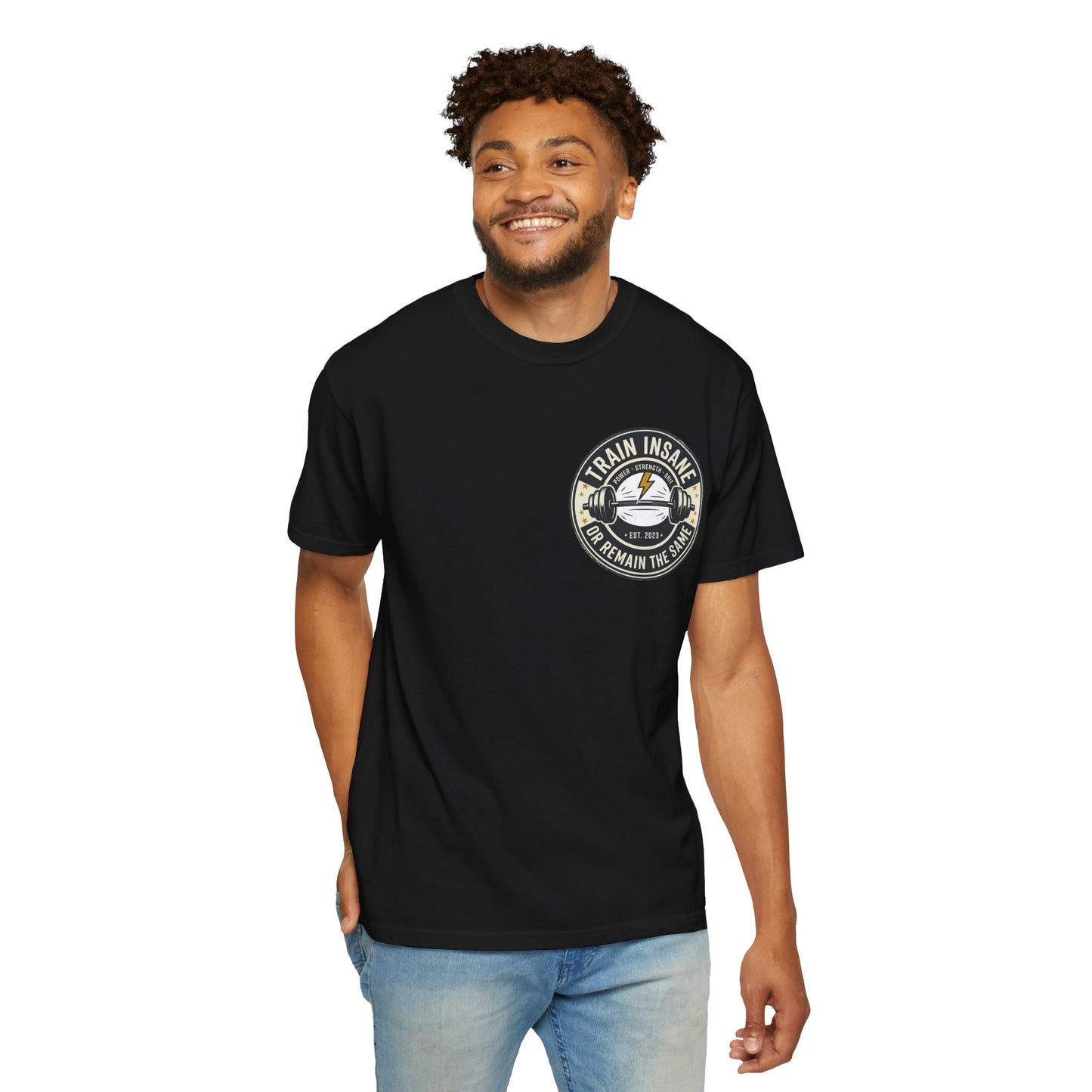 Train Insane Gym T-Shirt – Motivational Workout Shirt | Heavyweight Fitness Tee, Bodybuilding Graphic Tee