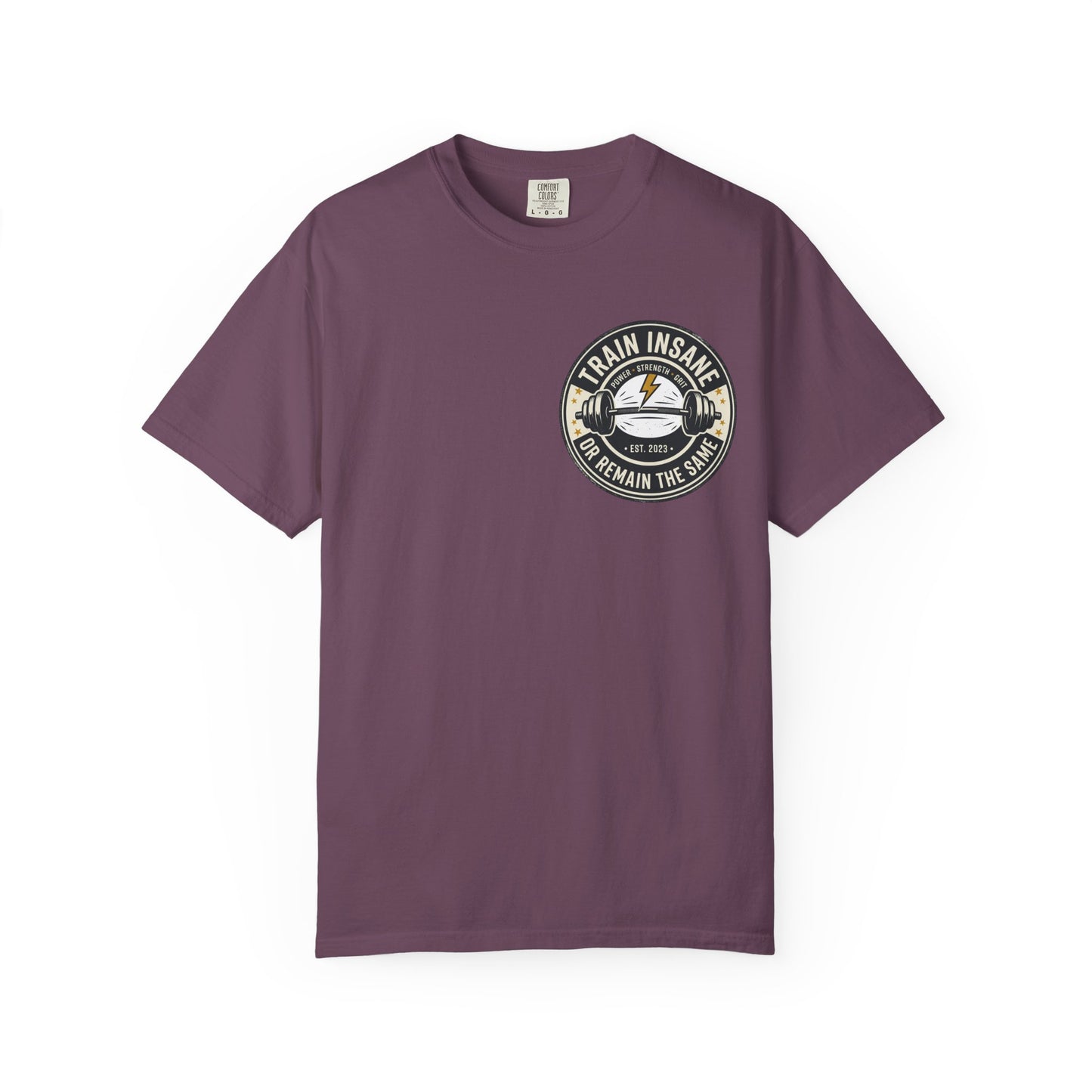 Train Insane Gym T-Shirt – Motivational Workout Shirt | Heavyweight Fitness Tee, Bodybuilding Graphic Tee